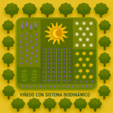 Modelo 2: extractos naturales de plantas aromáticas y medicinales