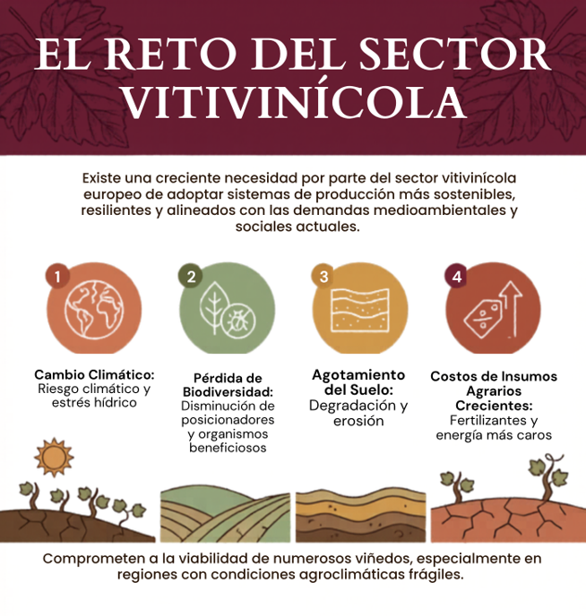 Reto del sector vitivinícola 1